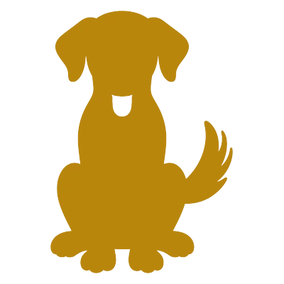 guide