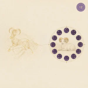 Aries western ram mapped to Chinese zodiac sheep wheel